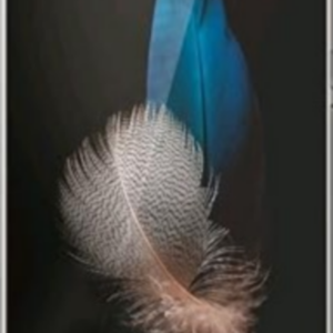 Huawei P8 Lite
